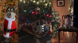 Duet for Alto Sax and Horn - Jingle Bells