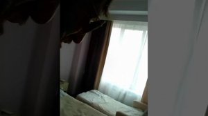 анапа отэль фиолетто двух месный номер