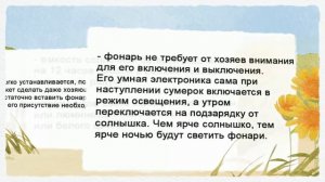 Оформление дачного участка участка. Интересные идеи