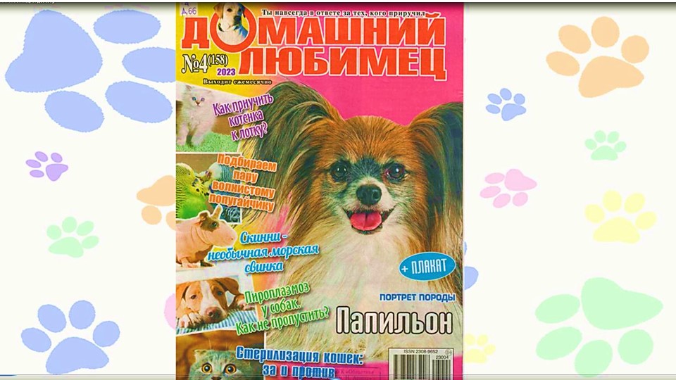 Домашний любимец. Видеобзор