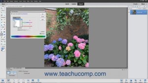 Photoshop Elements 2021 Tutorial Hue/Saturation Adobe Training