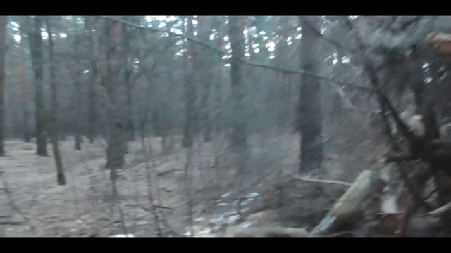 ВЛОГ:Cтроим шалаш в лесу :ЧАСТЬ: #1 смотреть онлайн