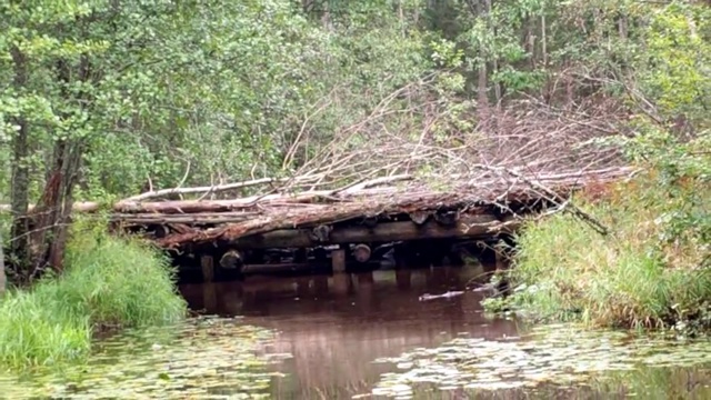 СТАРОЕ ПОДВОРЬЕ смотреть онлайн