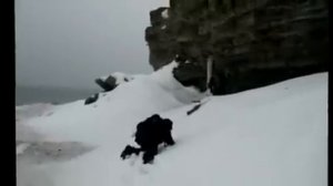 Paldiski / Палдиски