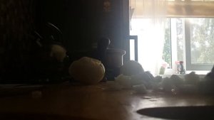 Бифстрогонов из печени