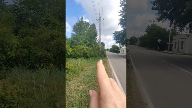 1000465612.mp4