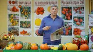 9. Гибриды томатов нового поколения