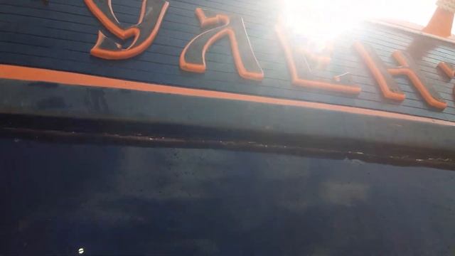 В Новом Свете штормом выбросило на берег Гулёну смотреть онлайн