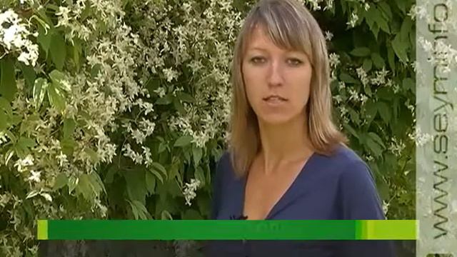 Чудо города горняков - ботанический сад смотреть онлайн