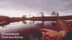 Нереальный клев форели на платнике