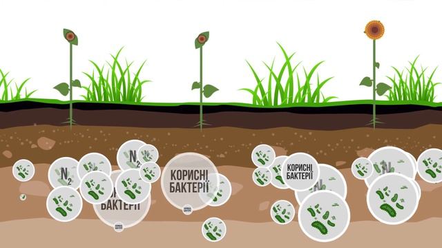 Стерня? ЕКОСТЕРН смотреть онлайн