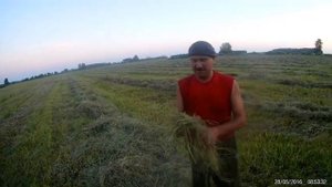 Гребем сено. Сенокос 2020. МТЗ 892 + грабли ГВВ-6