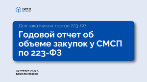 Как избежать ошибок в годовом отчете СМП по 223-ФЗ