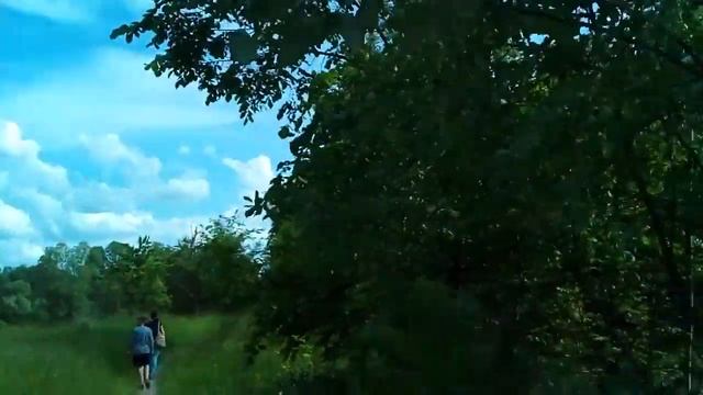 Прогулка по заповедным местам//Теллермановский лесной массив//