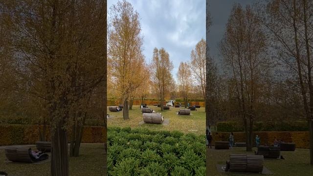 Парк Галицкого ? Там, где ивы шумят @park_galitskogo

#паркгалицкого #краснодар #shorts #россия