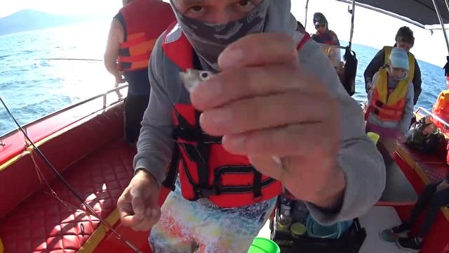 Рыбалка на Черном море. Ловля ставриды на пустой крючок. Архипо-Осиповка.