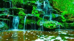 Relax Waterfall  music Расслабляющая музыка водопада