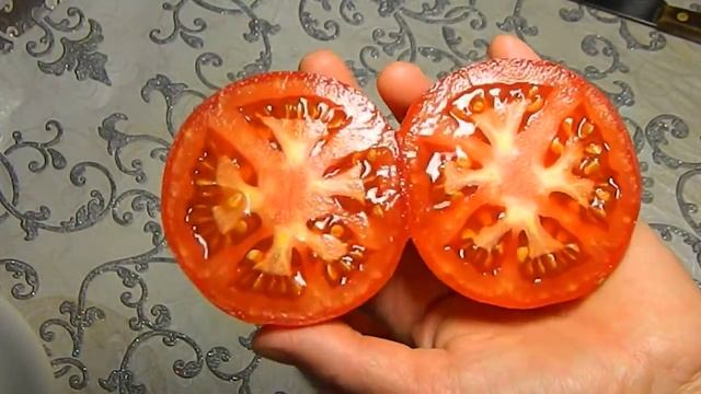 Томат Лада F1. Тест зрелых плодов. смотреть онлайн