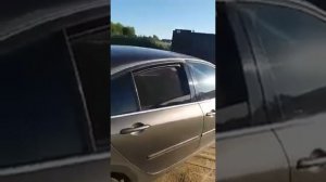 Автошторки EscO