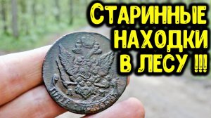 КОП МОНЕТ 2019! НАШЕЛ В ЛЕСУ 5 КОПЕЕК ЕКАТЕРИНА 2 ПОИСК МОНЕТ И СТАРИННЫЕ НАХОДКИ МЕТАЛЛОИСКАТЕЛЕМ