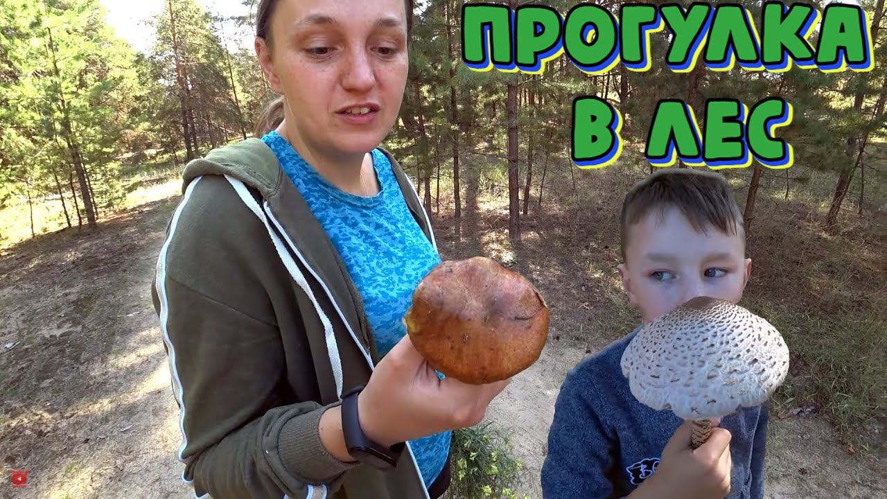 Прогулка по лесу всей семьёй / Семья в деревне
