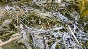 Теплообменник из чугунных батарей потёк