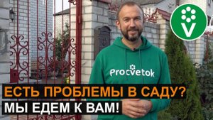 В гостях у подписчика! Самые распространенные болезни в саду и методы их лечения
