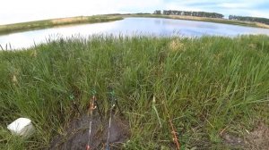 Линь на донки