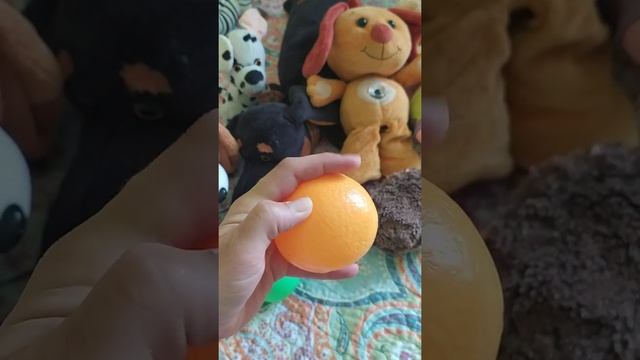 свойства предметов. класс 1 смотреть онлайн