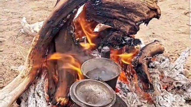 В пустыне Каракум. Истинная природная красота Каракума . Короткий обзор
