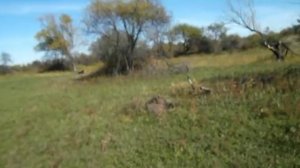 5 копеек 1933 года