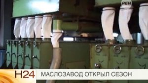 Маслозавод открыл сезон