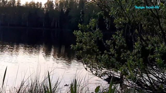 Юкки ОЗЕРО Тохколодское ? Ленинградская область ?? шашлычки на 9 мая ? смотреть онлайн