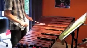 Too Many Notes Samba on Marimba