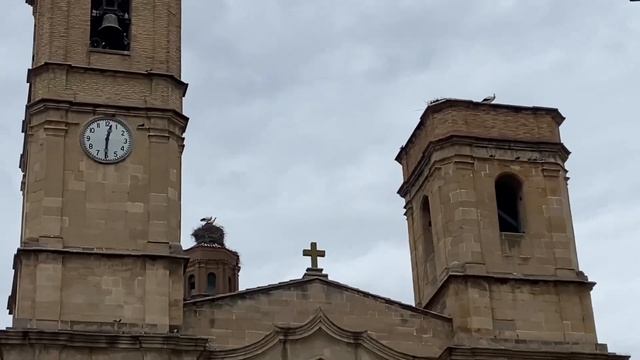 Испанская «сакура» | Весна в Испании | Сезонное блюдо из лука. Такого вы ещё не пробовали смотреть онлайн