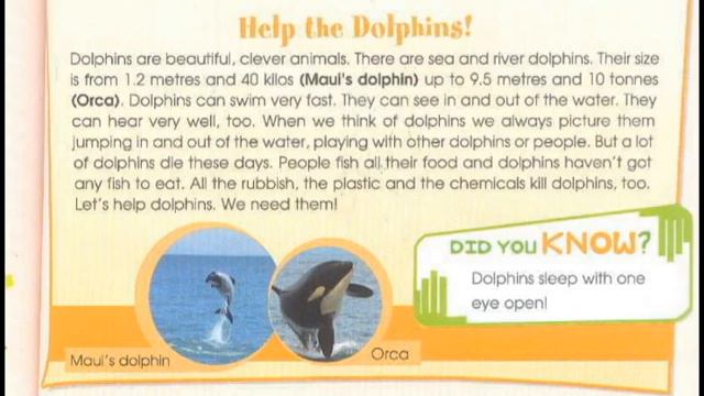 4 класс Звездный Английский Домашнее задание Часть 1 Урок 51 Страница 112, 113 смотреть онлайн