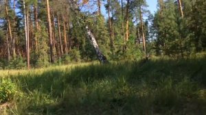 Турбаза «Вьюнка» продаётся ?