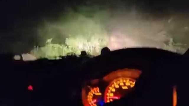 जंगल में मिला लकड़बग्घा । Striped Hyena Sighting In Rajaji National Park । Night Jungle Drive смотреть онлайн