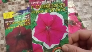 Крупноцветковая петуния.Сорта, которые порадуют вас.