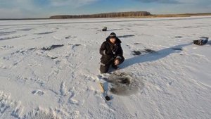 Ловля окуня на самодельную блесну .