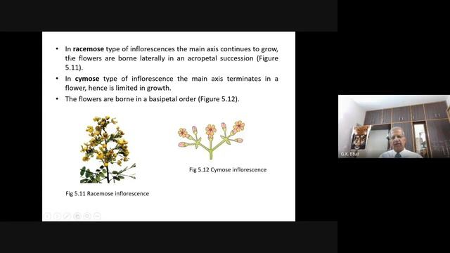 Biology Live Lecture 19 (Flowering Plant Morphology cont..) By Prof GK Bhat #NEET смотреть онлайн