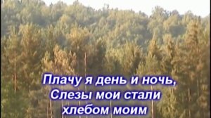 Как лань желает (песня и слова)