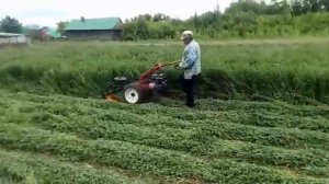 Мотоблок агро с роторной косилкой.