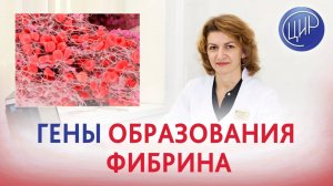 Гены образования фибрина: Ген протеина-С и ген сериновой протеазы. Дементьева С.Н.