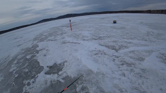 Судак на вибы (Волчихинское водохранилище) смотреть онлайн