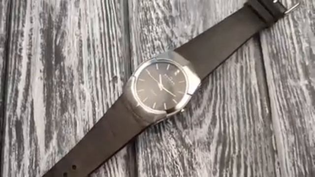 Ремешок для часов Skagen