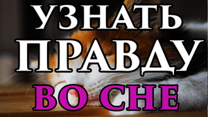 Заклинание чтобы узнать правду во сне ? - Маг Fose