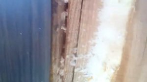 Термопанели фасадные ППУ. Развенчиваем мифы.