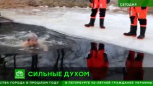 ВИДЕО ПРОГРАММЫ «СЕГОДНЯ — САНКТ-ПЕТЕРБУРГ»  30.01.2023 Моржи из Парка Победы отстояли свой пруд.