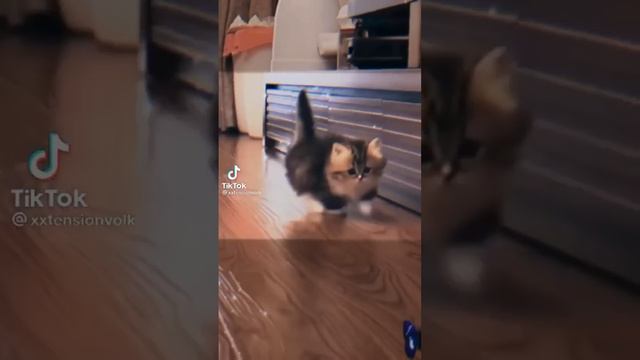 включи когда будет грустно смотреть онлайн